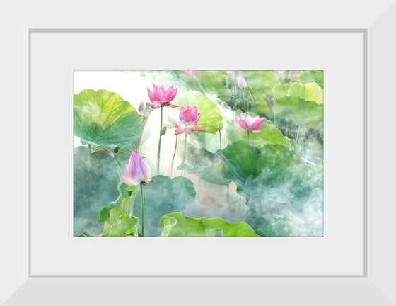 "Lotus summer"