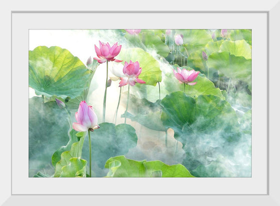 "Lotus summer"