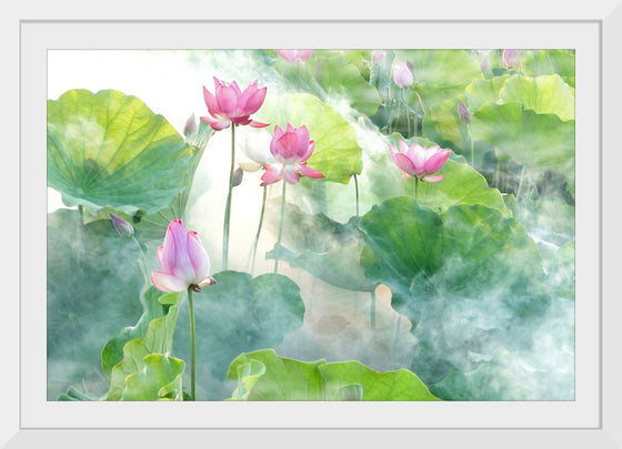 "Lotus summer"