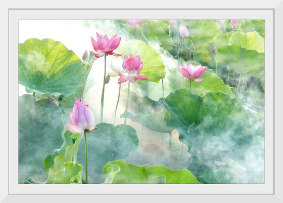 "Lotus summer"