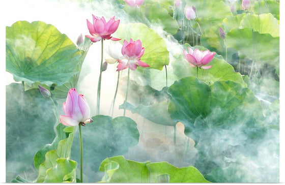 "Lotus summer"