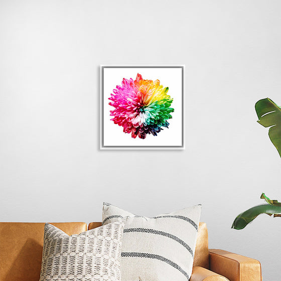 "Multicolored Chrysanthemum"