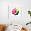 "Multicolored Chrysanthemum"