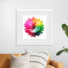 "Multicolored Chrysanthemum"