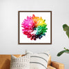 "Multicolored Chrysanthemum"