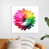 "Multicolored Chrysanthemum"