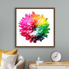 "Multicolored Chrysanthemum"