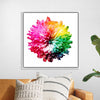 "Multicolored Chrysanthemum"