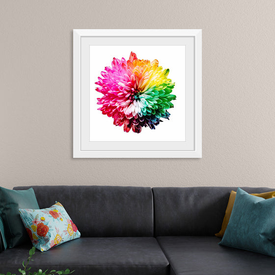 "Multicolored Chrysanthemum"