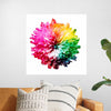 "Multicolored Chrysanthemum"