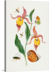 Immerse yourself in the enchanting world of nature with this exquisite print. Every detail, from the delicate fluttering butterflies to the intricate patterns on the snail’s shell, is captured with stunning realism. The vibrant orchids stand tall, their petals a dance of color and form, inviting viewers into a serene yet lively ecosystem. This artwork is not just a visual feast but an exploration of biodiversity, making it a perfect addition to any space seeking to blend artistry with natural elegance.