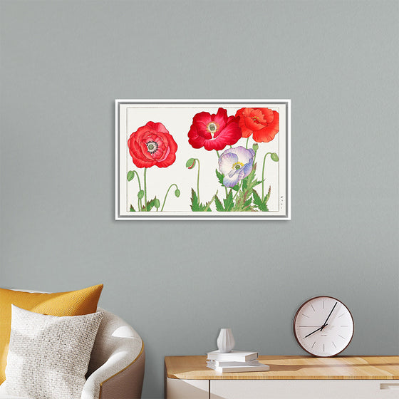 "Vintage Poppy Flower", Tanigami Kônan