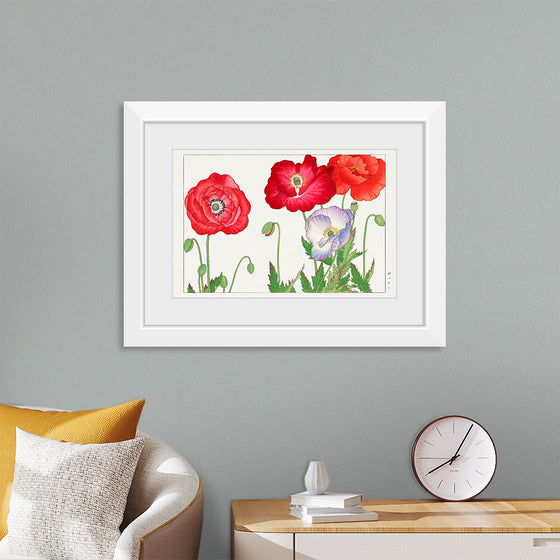 "Vintage Poppy Flower", Tanigami Kônan