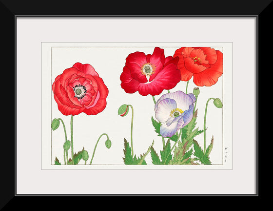 "Vintage Poppy Flower", Tanigami Kônan