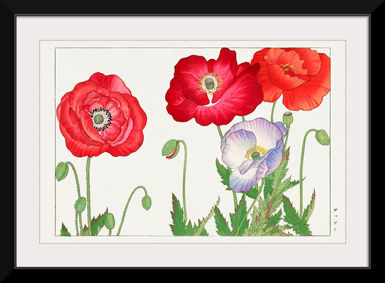 "Vintage Poppy Flower", Tanigami Kônan