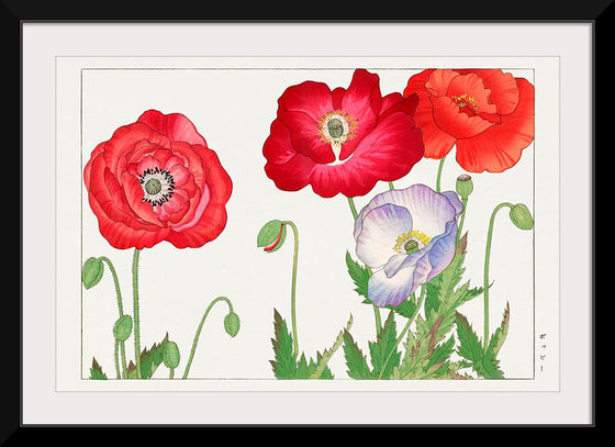 "Vintage Poppy Flower", Tanigami Kônan