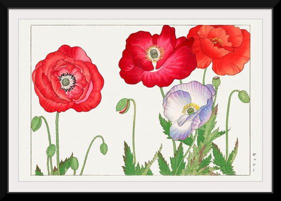 "Vintage Poppy Flower", Tanigami Kônan