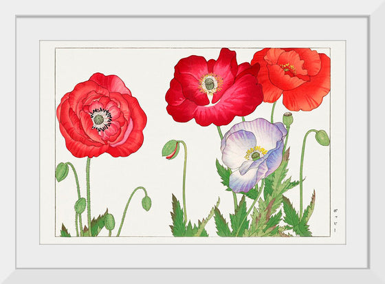 "Vintage Poppy Flower", Tanigami Kônan