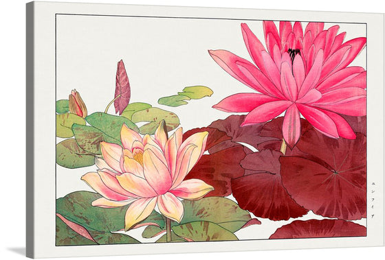 The “Nymphaea lotus” print is a captivating piece of art that brings the ethereal beauty of water lilies to life. The artwork captures two blossoming flowers, one with tender pink petals unfolding gracefully and another in radiant fuchsia, symbolizing the delicate dance between serenity and vibrancy. Set against a backdrop of lush green and deep burgundy leaves, this piece invites viewers into a world where nature’s elegance reigns supreme.