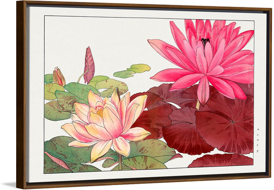 "Nymphaea Lotus", Tanigami Kônan