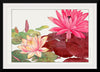 "Nymphaea Lotus", Tanigami Kônan