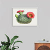 "Vintage Fishhook Cactus"