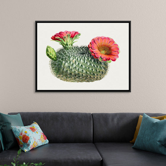 "Vintage Fishhook Cactus"