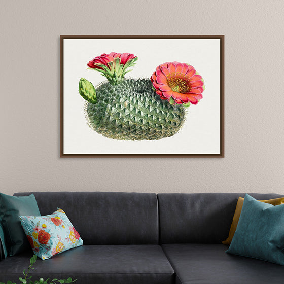 "Vintage Fishhook Cactus"