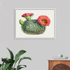 "Vintage Fishhook Cactus"