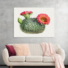 "Vintage Fishhook Cactus"