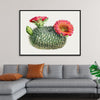 "Vintage Fishhook Cactus"