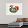 "Vintage Fishhook Cactus"