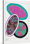 Immerse yourself in the world of E.A. Seguy with this exquisite print. The artwork showcases a collection of vibrant floral patterns, each encased within its own oval, creating a symphony of color and design. The meticulous detailing of each blossom, coupled with the rich hues, makes this piece a captivating addition to any space.