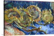  Gaze into the soul of decay in Vincent Van Gogh’s “Four Withered Sunflowers.” This hauntingly beautiful still life captures the fleeting nature of beauty, showcasing four sunflowers past their prime. Their once vibrant faces, now drooping and discolored, are painted in Van Gogh’s signature swirling brushstrokes, each stroke echoing the flower’s final sigh.