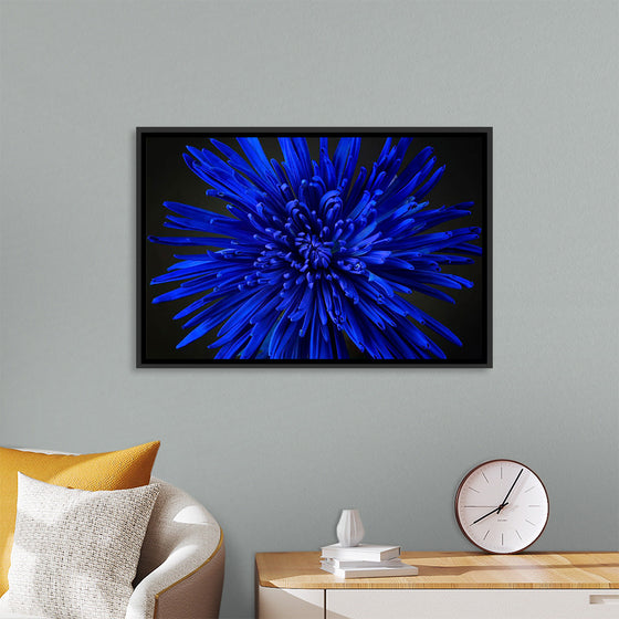 "Blue Flower"