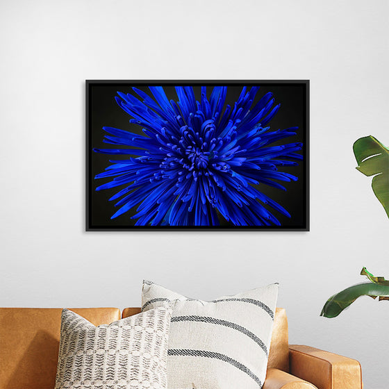 "Blue Flower"