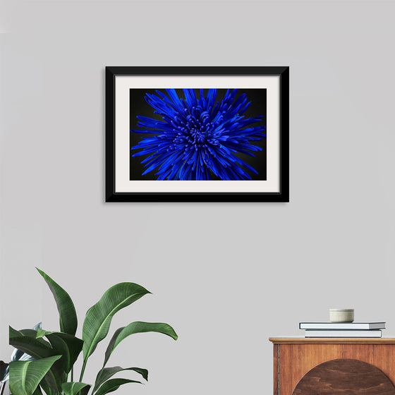 "Blue Flower"