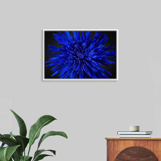 "Blue Flower"