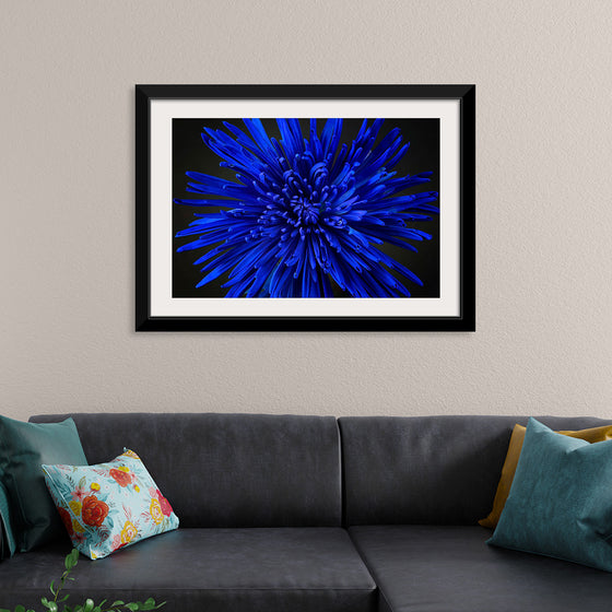 "Blue Flower"