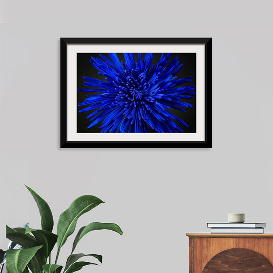 "Blue Flower"