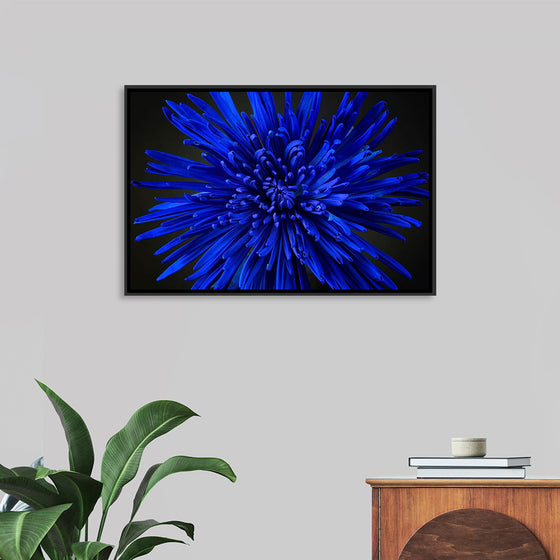 "Blue Flower"