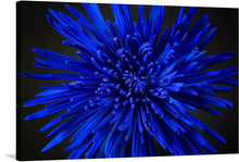  Dive into the mesmerizing depths of “Blue Flower,” a limited edition print that promises to transform any space with its vibrant energy and intricate detail. Each petal, painted in striking shades of blue, dances with life and depth, inviting viewers into a world where art and nature converge. 