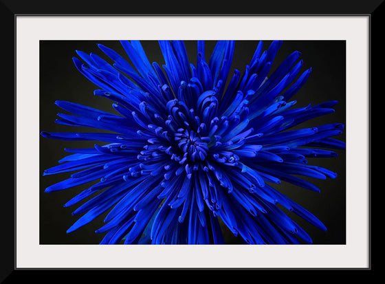 "Blue Flower"