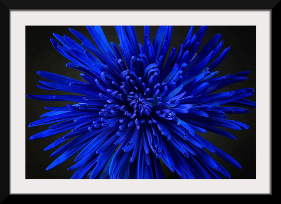 "Blue Flower"