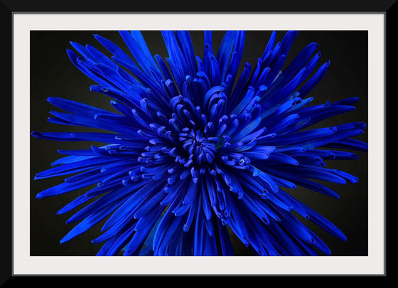 "Blue Flower"