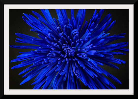 "Blue Flower"