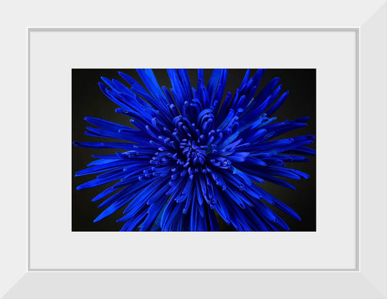 "Blue Flower"