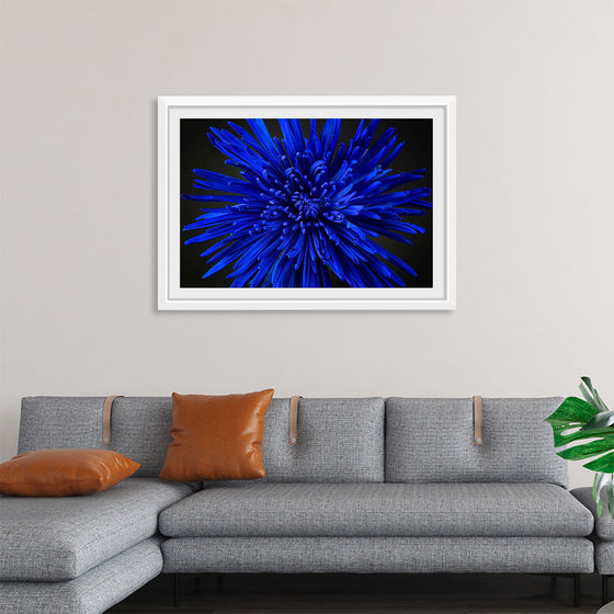 "Blue Flower"