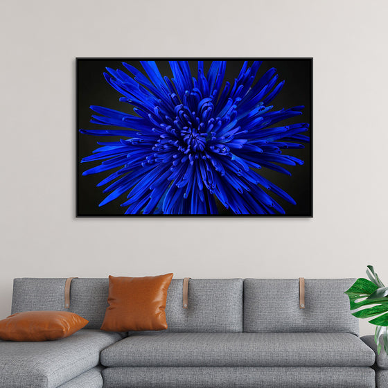 "Blue Flower"