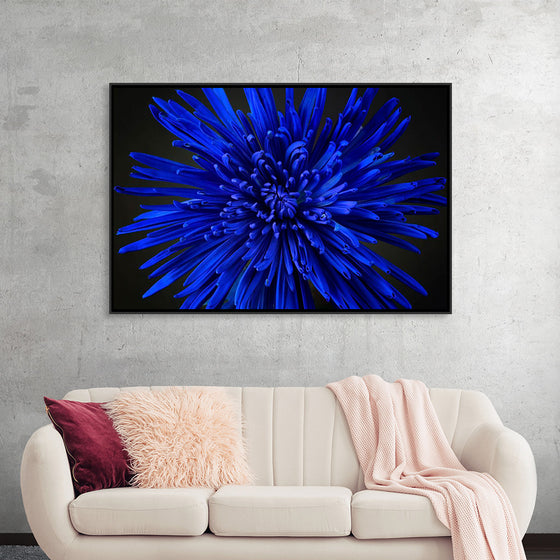 "Blue Flower"